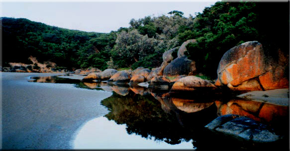 Tidal River in the early morning light