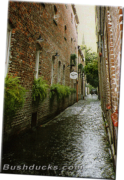 Flood waters race through Charleston's historic district