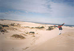 Discovery Bay sandunes