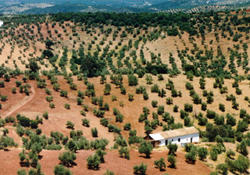 Spanish Landscape